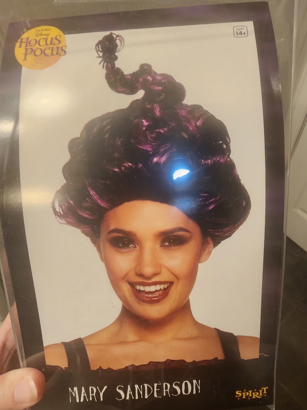 Spirit Mary Sanderson Wig in Black and Purple